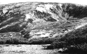 Один из наиболее крупных ледниковых каров в Дукчинских горах, Северное Приохотье